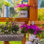 Rozkvitnutý balkón