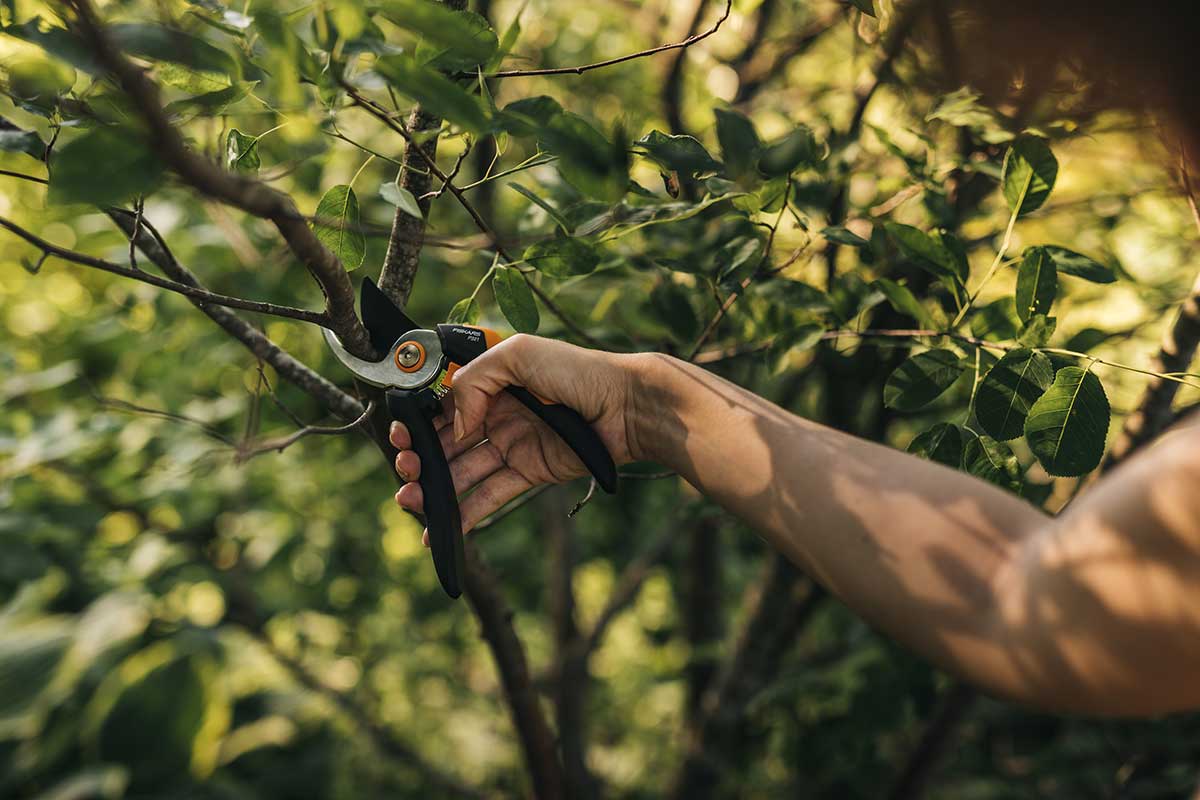 Gardening Action Solid Pruner Bypass