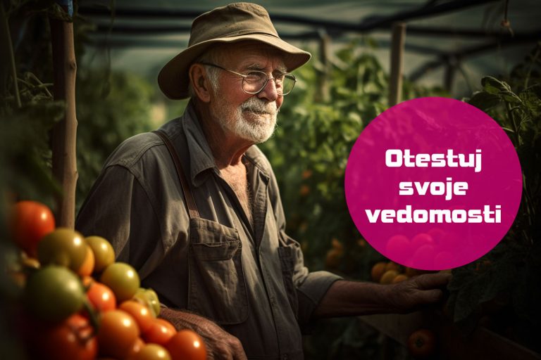 10 otázok o pestovaní paradajok: Zlepšite svoje pestovateľské zručnosti s naším kvízom