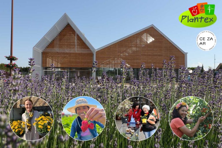 Novinky zo sveta ovocných a okrasných drevín