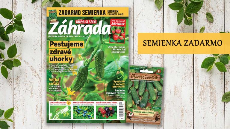 Májové číslo časopisu Záhrada je už v predaji! Ako vypestovať vlastné uhorky a jahody, výsadba letničiek a čo pestovať v tieni