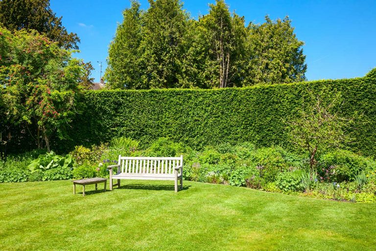 Martin Čurda odporúča: Toto je vhodný čas na prerezanie a hnojenie trávnika