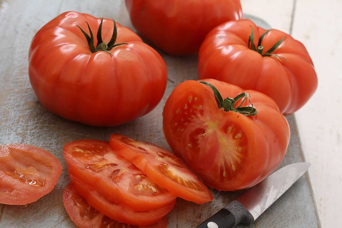 Beefsteakové "slicers" paradajky