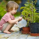 Ekologické pestovanie v záhrade