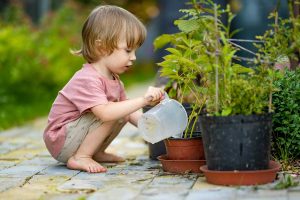 Naučte sa pestovať ekologicky: Tipy, ako prispieť malými krokmi ku kvalite nášho prostredia