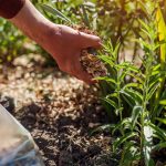 Ochrana a skvalitňovanie pôdy