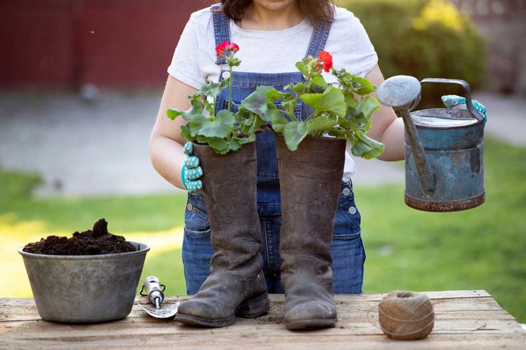 Osviežte si s nami základy pestovania v kvetináčoch a okrasných nádobách. Na čo si dať pozor?