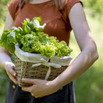 Šalát zo záhrady v košíku