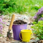 Udržateľná záhrada