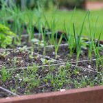 Vytvorenie vyvýšeného záhona na bylinky z kameňa