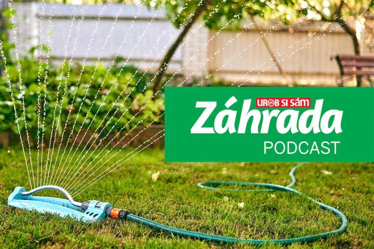 Ako pripraviť záhradu na letné horúčavy? Vypočujte si novú epizódu podcastu Záhrada