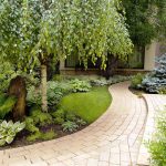 Záhrada s previsnutou brezou