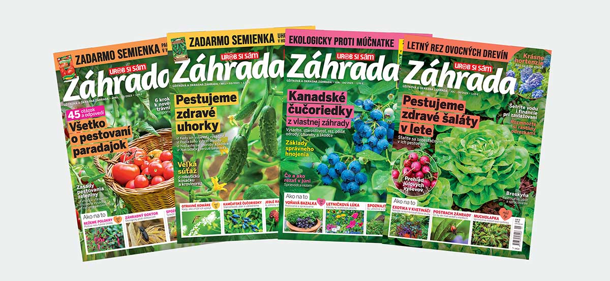 zahrada anketa predplatitelia 1