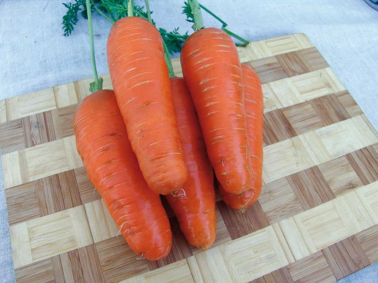 Záujem o záhradkárčenie rastie