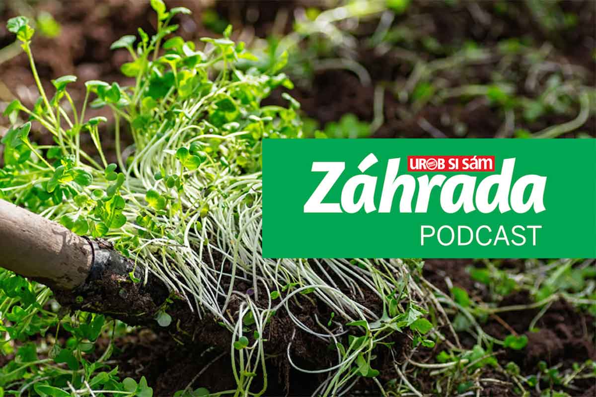 Podcast Záhrada