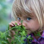 Dieťa ovoniavajúce bylinku