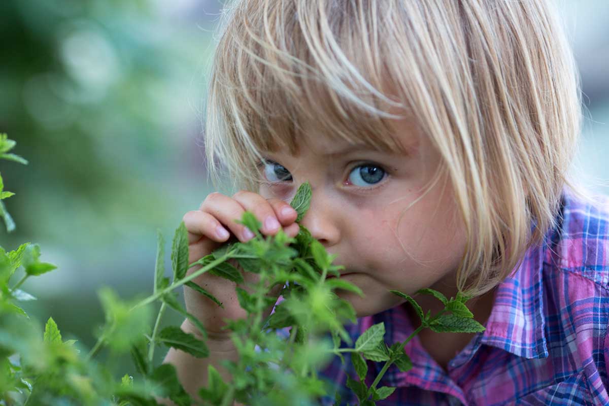 Dieťa ovoniavajúce bylinku