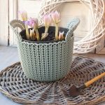 Jesienky v kvetináči