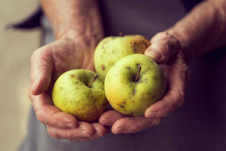 Jablká Golden Delicious