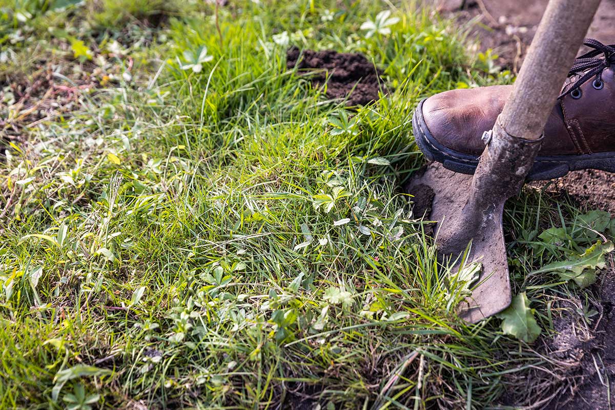 Odburinenie plochy na založenie zmiešaného trvalkového záhona