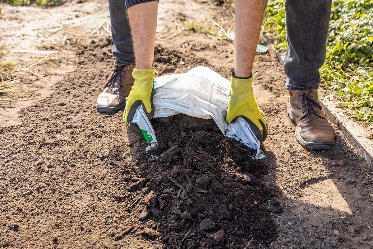 Obohatenie pôdy o kompost alebo substrát pred výsadbou záhona