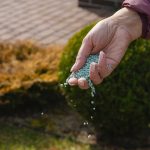 Hnojenie rastlín na jeseň