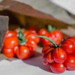 Paradajka ‘Voyager tomato’