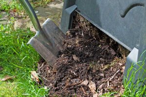 Môžeme využiť v zeleninovej záhrade aj nevyzretý kompost? Odpovedá Martin Čurda