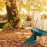 Ako využiť lístie a pozberové zvyšky zo záhrady