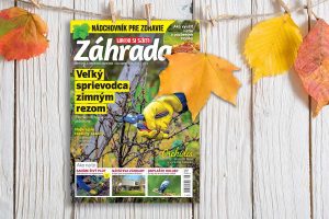 Titulka novembrového vydania časopisu Záhrada 08/2023