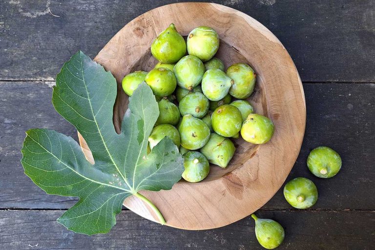 Tri recepty na vynikajúce figové dobroty, s ktorými si vychutnáte jesennú sezónu