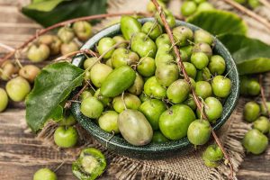 Plody záhradného „minikivi“ podporia imunitu a dobrú náladu. Na jeho pestovanie vám postačí pergola