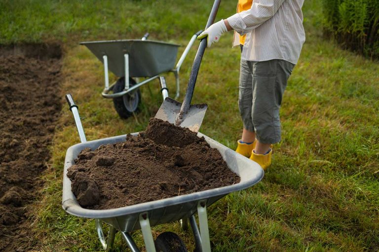 Ako zlepšiť pôdnu úrodnosť