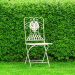 Ako založiť živý plot z vtáčieho zobu