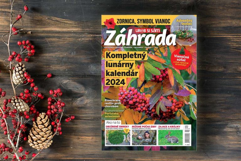 Kompletný sprievodca záhradných prác v roku 2024 a ďalšie zaujímavé témy vás čakajú v novom čísle časopisu Záhrada