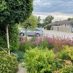 Realizácia predzáhradky záhradným architektom Martinom Čurdom