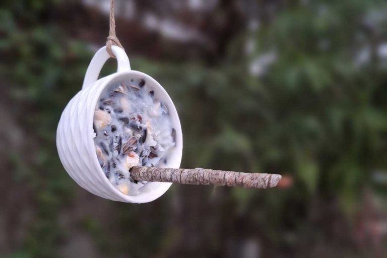 Netradičné recyklované eko-friendly kŕmidlá pre vtáky