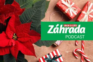 Nalaďte sa na Vianoce prostredníctvom najnovšieho podcastu Záhrada