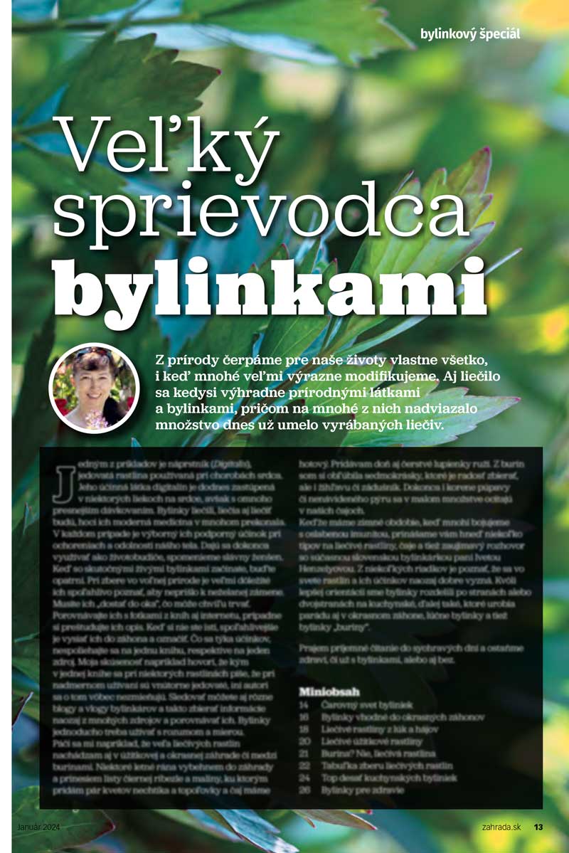 Veľký sprievodca bylinkami