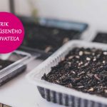 Trik od skúseného pestovateľa pri výseve semien svetlomilných druhov rastlín
