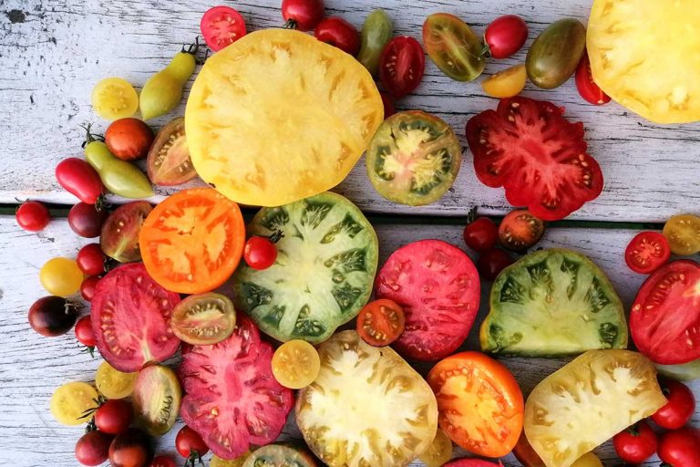 Hľadači najsladších paradajok, pozor! Týchto 12 odrôd sme objavili a vyskúšali za vás