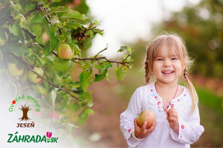 4. ročník súťaže pre materské a základné školy: Kto vyhral?