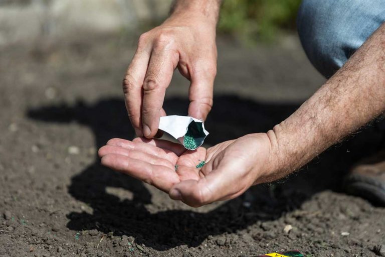 4 dôležité kroky, ako postupovať pri zakladaní zeleninových záhonov