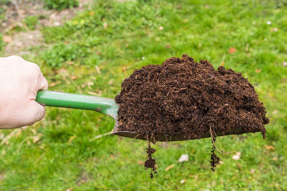 Zapracovanie kompostu do skyprenej pôdy