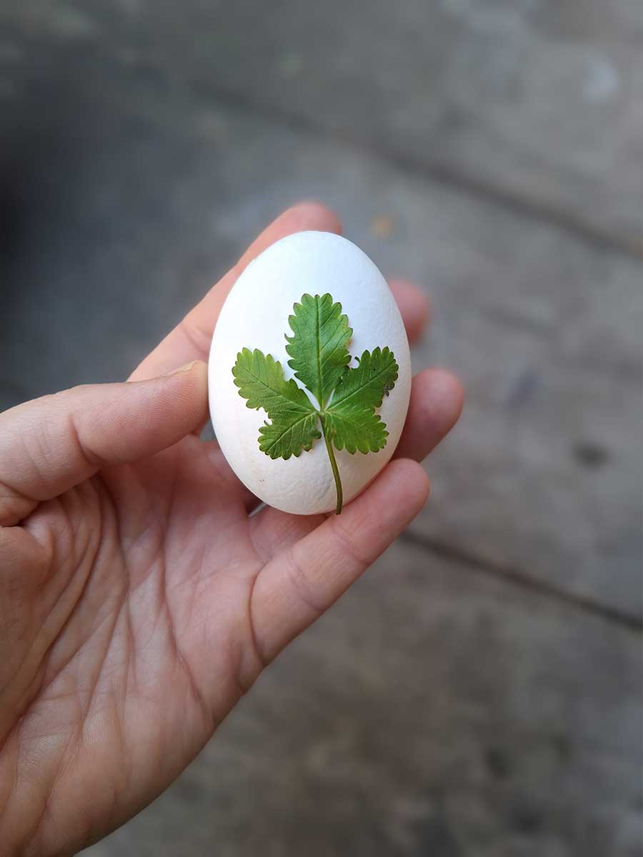 Prírodne ozdobené veľkonočné vajíčko listom zo záhrady