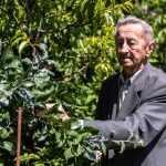 Pán profesor Hričovský v záhrade