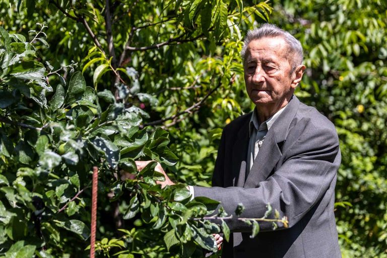 Nová sezóna podľa profesora Hričovského: Ako vyberať ovocné stromy do záhrady?