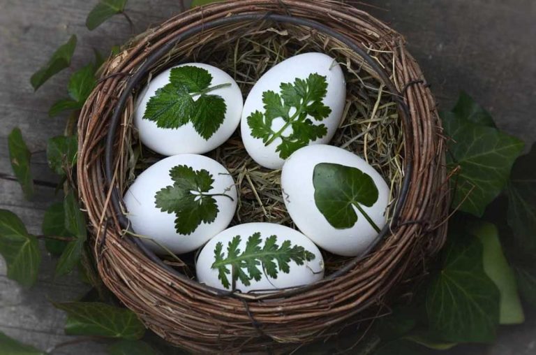 Veľkonočné vajíčka zdobené prírodnými listami zo záhrady