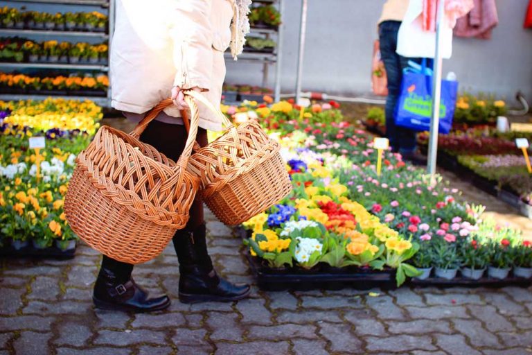 Privítajme jar na obľúbenom veľtrhu Záhradkár, ktorý zažije premiéru v priestoroch letiska v Trenčíne!