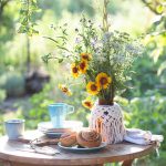 Voňavé rastliny v záhrade